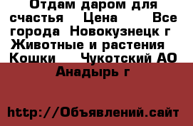 Отдам даром для счастья. › Цена ­ 1 - Все города, Новокузнецк г. Животные и растения » Кошки   . Чукотский АО,Анадырь г.